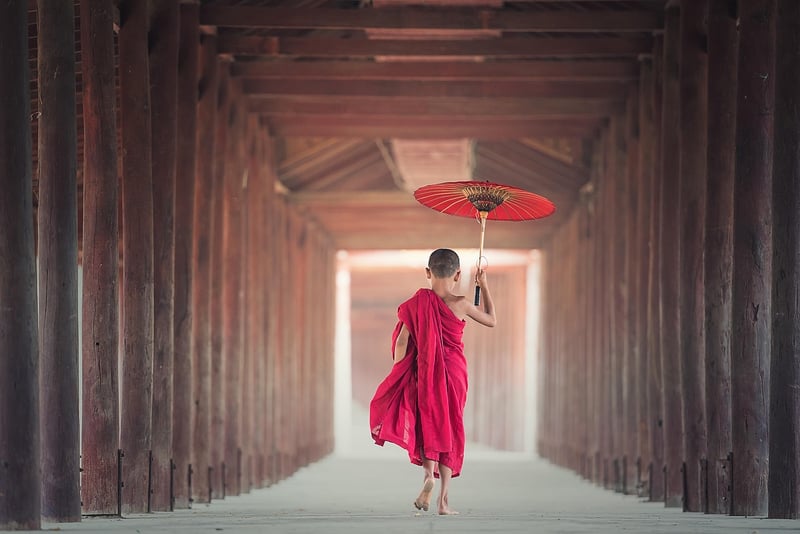Tai Chi Sword Image
